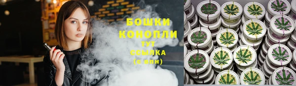 гидропоника Карпинск