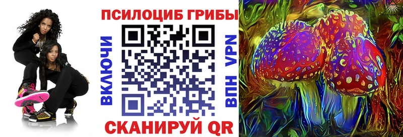 Галлюциногенные грибы прущие грибы  Купить  Ковылкино 